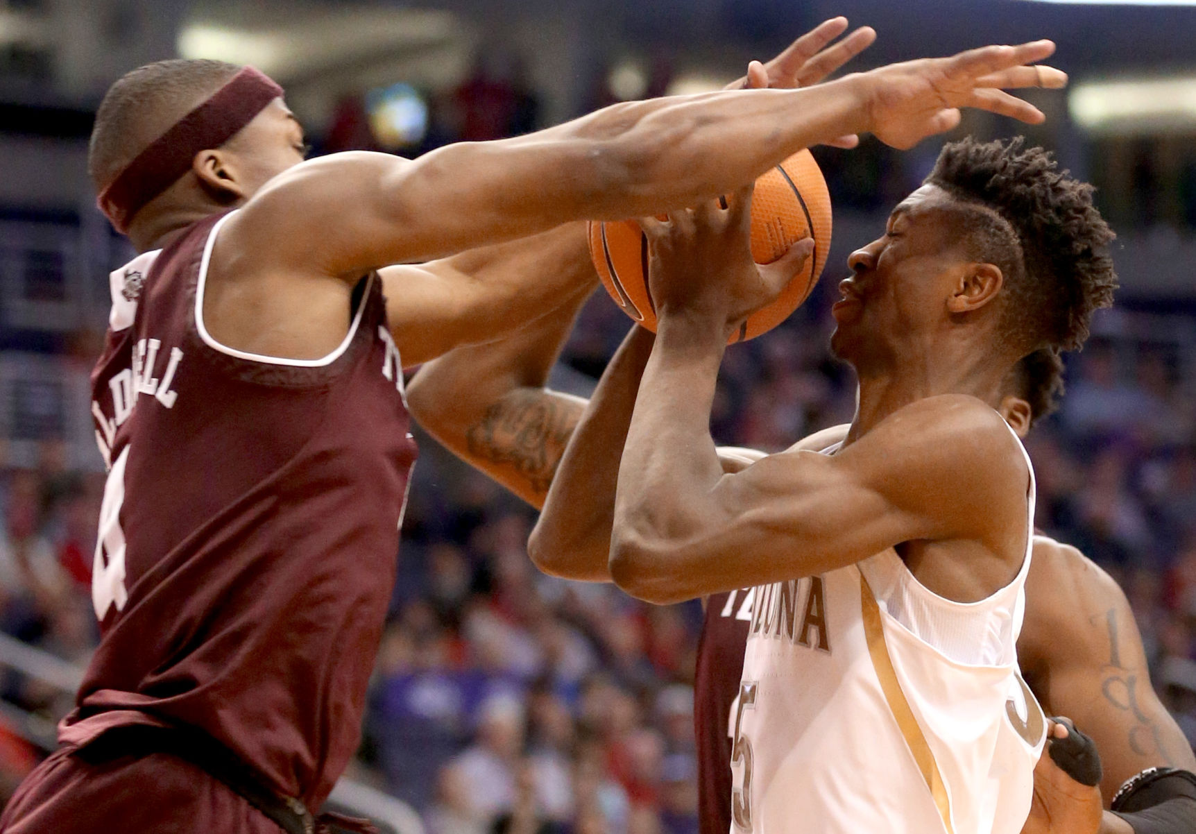 University of Arizona vs Texas A&M